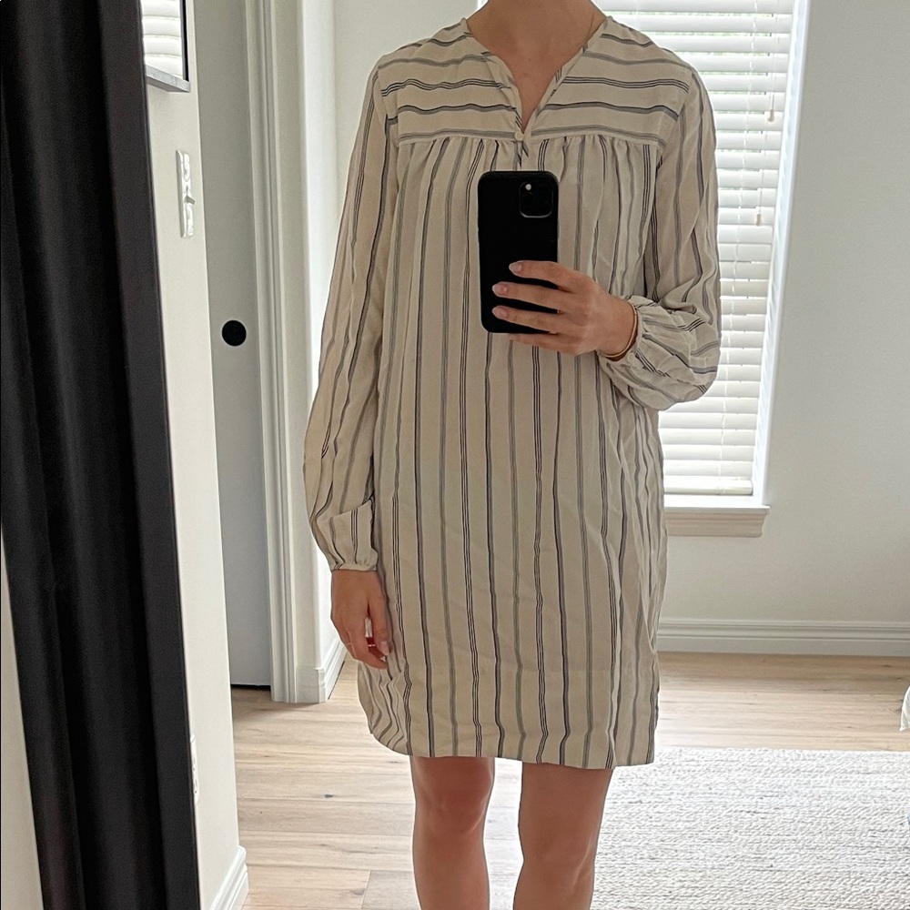 Aritzia dress